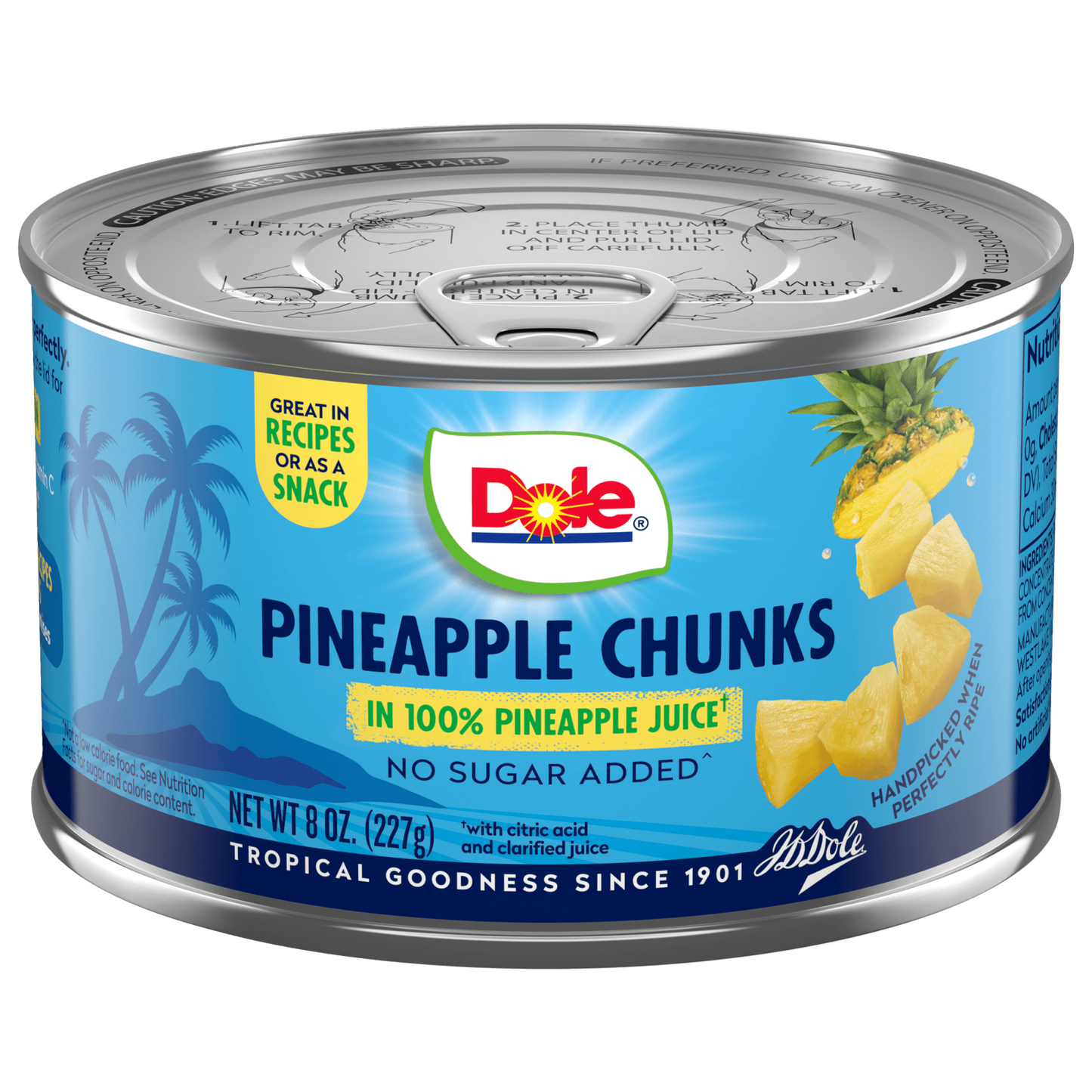 Dole Canned Fruit Pineapple Chunks in 100% Pineapple Juice